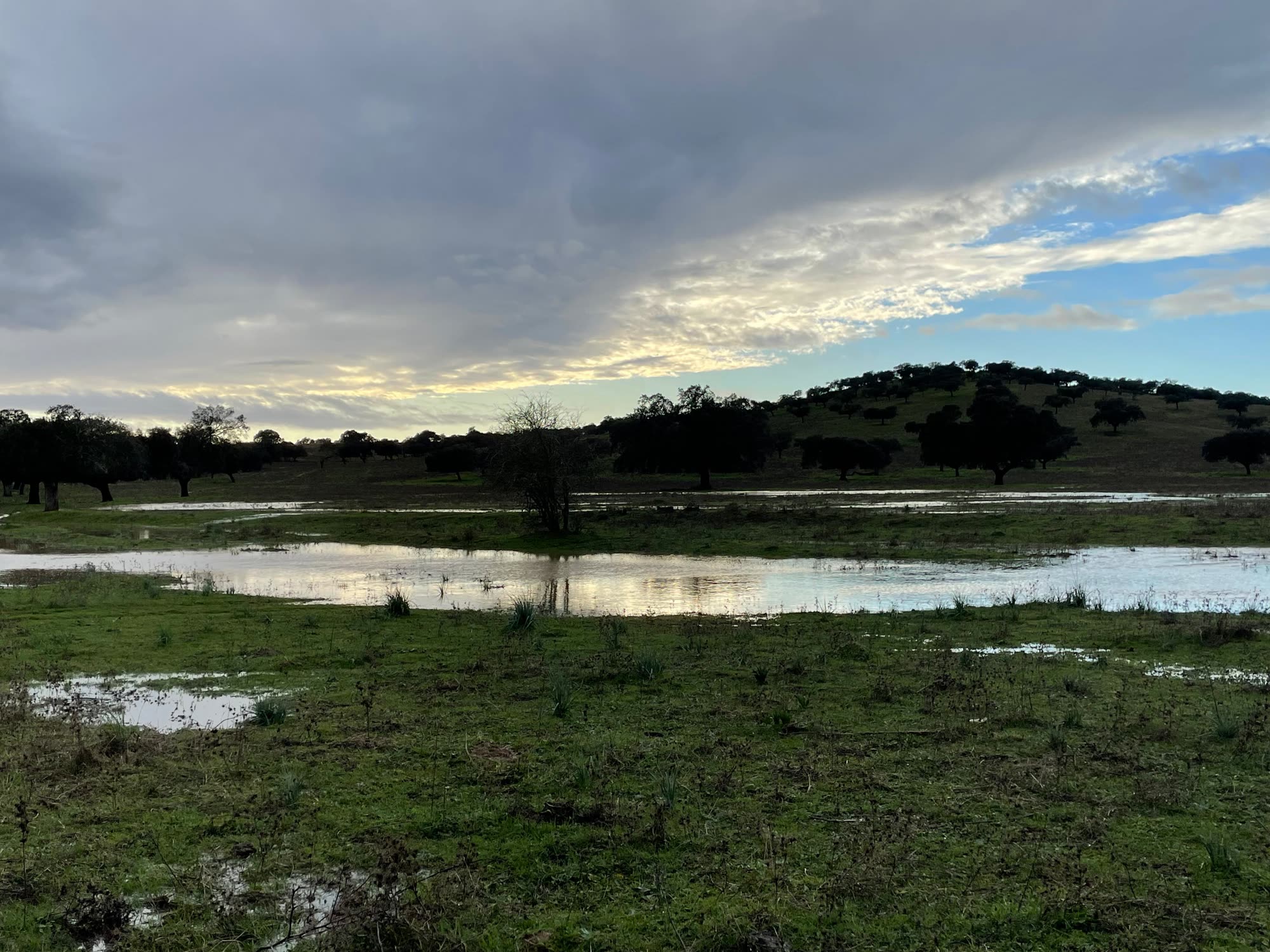 Humedal al amanecer.